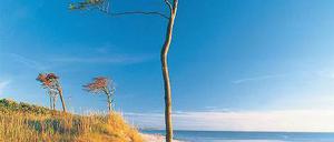 Am Darßer Weststrand werden eher selten Kamelle geworfen.