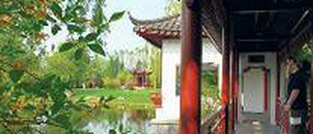 Andere Welt. Der chinesische Garten lädt zum Verweilen ein. 