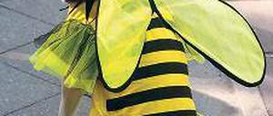 Hund, Biene, Maya. Zum Abschied packen wir nochmal alles zusammen. Foto: dpa