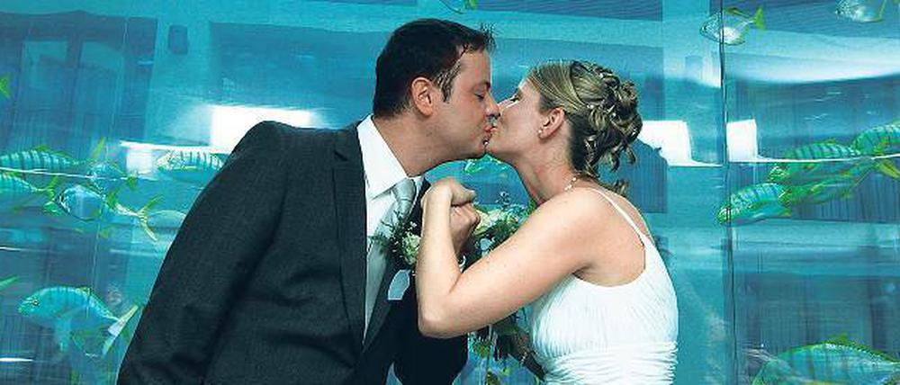 Wer sich traut, der wählt für den Tag der Tage gern ein besonderes Datum wie den 12.12.12. Auch im Aquadome wird an diesem Mittwoch wieder Hochzeit gefeiert. Foto: Schreiber/dapd
