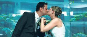 Wer sich traut, der wählt für den Tag der Tage gern ein besonderes Datum wie den 12.12.12. Auch im Aquadome wird an diesem Mittwoch wieder Hochzeit gefeiert. Foto: Schreiber/dapd