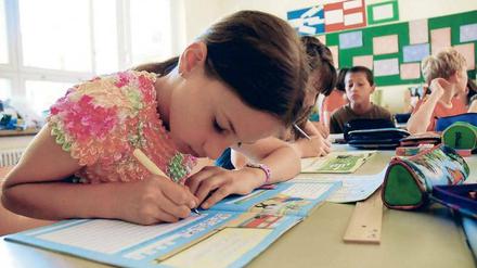 Voll konzentriert. Mädchen lesen besser, Jungen liegen in Mathe vorn. Doch die Unterschiede sind nach Aussage der Bildungsforscher nicht allzu groß. 