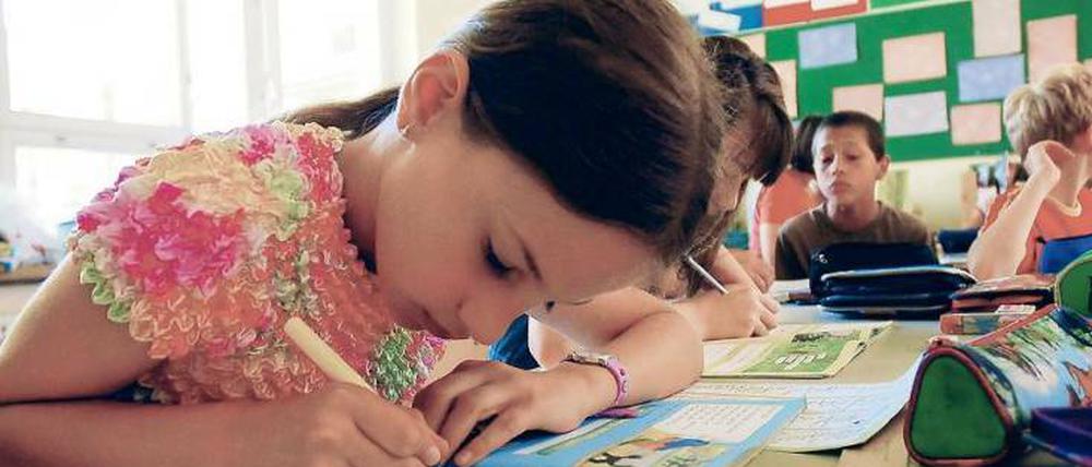 Voll konzentriert. Mädchen lesen besser, Jungen liegen in Mathe vorn. Doch die Unterschiede sind nach Aussage der Bildungsforscher nicht allzu groß.