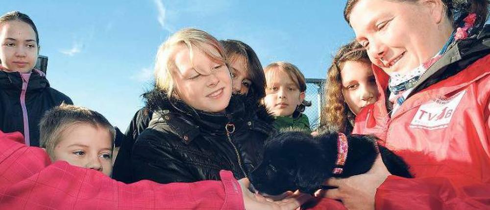 Tierschutzlehrerin Ulrike Pollack hält den Mischlingswelpen Alfi im Arm.