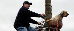 Hundeleben. Um das Miteinander von Mensch und Tier in Berlin besser zu organisieren, lässt der Senat das Hundegesetz evaluieren. 