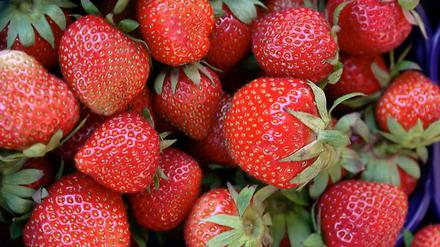 Erdbeeren als Übeltäter.