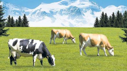 Blauer Himmel, taufrische Weiden – so wollen Lebensmittelhersteller ihre Kunden glauben machen, sie kauften ein Produkt aus Freilandhaltung.