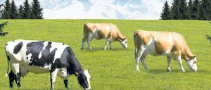 Blauer Himmel, taufrische Weiden – so wollen Lebensmittelhersteller ihre Kunden glauben machen, sie kauften ein Produkt aus Freilandhaltung.