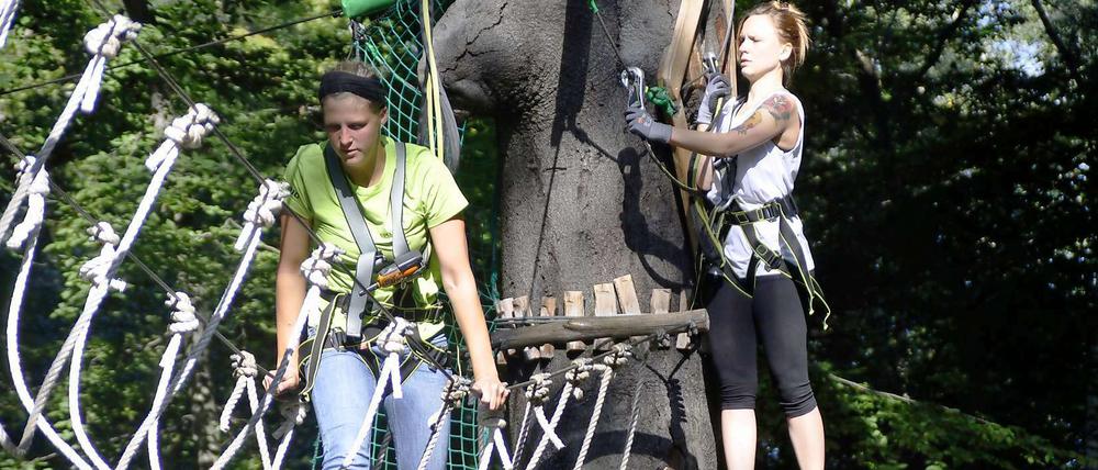Balanceakt. Teilnehmer der Aktion im Waldhochseilgarten Jungfernheide. 