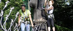 Balanceakt. Teilnehmer der Aktion im Waldhochseilgarten Jungfernheide. 