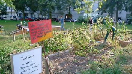 Ein Garten für den Kracauerplatz - so lautet das Ziel.