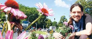 EInsatz an der Straße. Petrus Akkordeon, Künstler und Gärtner, bepflanzt die unmöglichsten Stellen – zum Beispiel die Verkehrsinsel in seinem Ortsteil Lichterfelde. Mittlerweile lassen sich auf Sonnenhut und Tagetes auch wieder Bienen nieder.