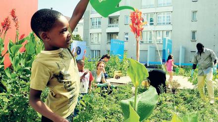 Kleiner Arbeitseinsatz. Familie Ugbogbo ist genauso bei der Pflanzenpflege dabei wie die vielen anderen Mieter in der Naunynstr. 5 bis 8 in Kreuzberg. Die Degewo hat dort auf Wunsch der Anwohner einen Gemeinschaftsgarten angelegt. Nun kann gemeinsam geerntet werden. Mittendrin: Stadtteilmanagerin Nesrin Demir. 