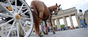 Haufenweise Ärger wegen der Kutschen: Die Pferdeäpfel stinken vielen Berlinern.