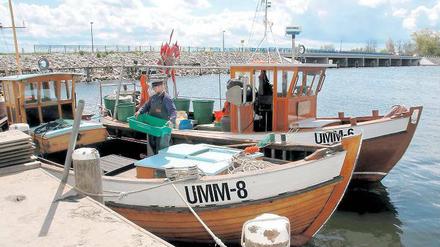 Einige Fischer fahren noch jeden Morgen von Ummanz auf die Ostsee.