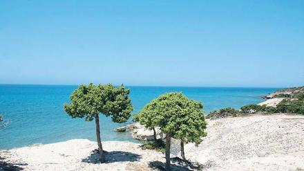 Klare Sache. Das Wasser an griechischen Stränden, hier auf der Insel Kos, gehört europaweit zu den saubersten. 