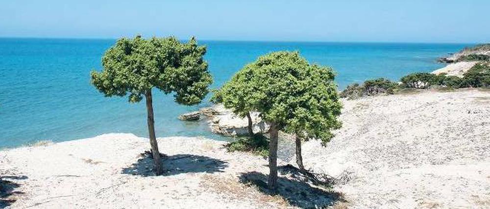 Klare Sache. Das Wasser an griechischen Stränden, hier auf der Insel Kos, gehört europaweit zu den saubersten. 