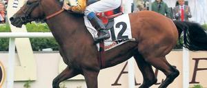 Alles auf die 12. Wer in Hamburg auf Waldpark setzte, lag richtig. Foto: dpa