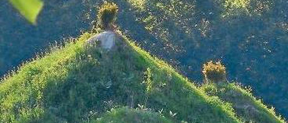 Foto: dpa