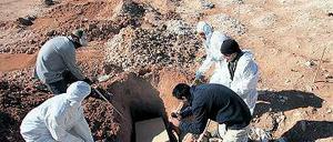 Im mexikanischen Ciudad Juárez werden im Schnitt sieben Menschen pro Tag ermordet.