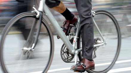 Ein Fahrradfahrer verunglückte tödlich, weil er mit einem unangeleinten Hund zusammenstieß.