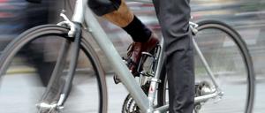 Ein Fahrradfahrer verunglückte tödlich, weil er mit einem unangeleinten Hund zusammenstieß.
