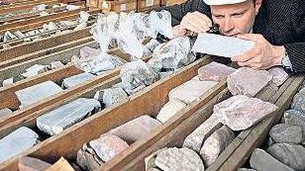 Steinreich? Jörg Reichert, Geologe der Deutschen Rohstoff AG, prüft Proben von Bohrkernen aus DDR-Zeiten. Foto: dpa-Zentralbild