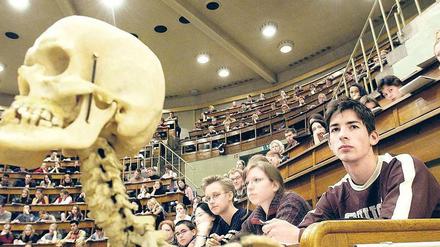 Seriös statt großzügig. Angehende Zahnärzte müssen auch lernen, ihre Leistungen richtig abzurechnen. 