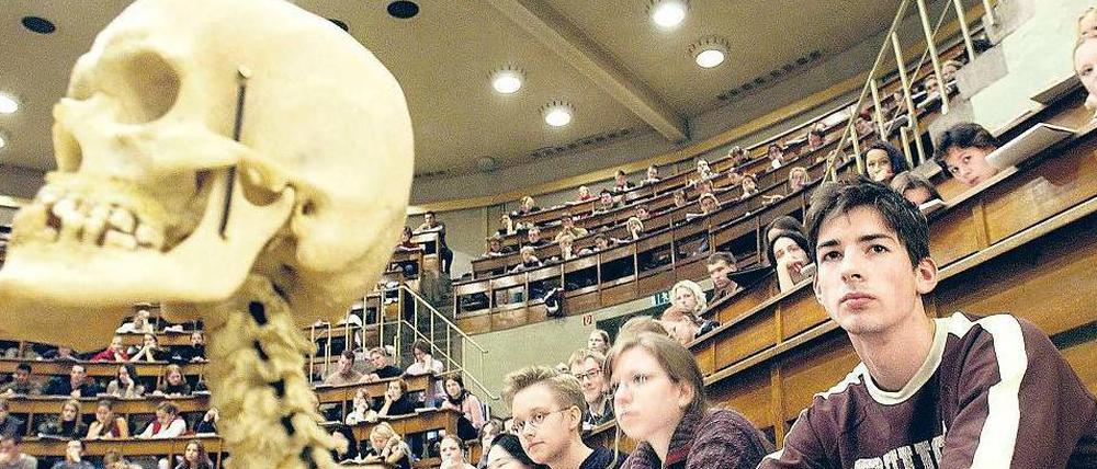 Seriös statt großzügig. Angehende Zahnärzte müssen auch lernen, ihre Leistungen richtig abzurechnen. 