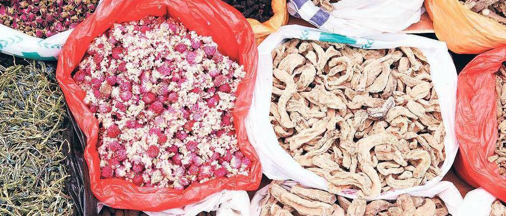 Natur pur. In der traditionellen chinesischen Medizin werden viele pflanzliche und tierische Produkte eingesetzt. Das heißt aber nicht, dass sie von vornherein harmlos sind. Ein erhebliches Risiko bergen Inhaltsstoffe aus Osterluzei. Foto: picture-alliance/chromorange