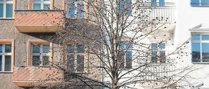 Alt gegen neu. Viele Mieter fürchten bei einer Modernisierung um ihre günstigen Wohnungen. Auch in Berlin finden sich wie hier viele sanierte neben unsanierten Häusern. Foto: dpa