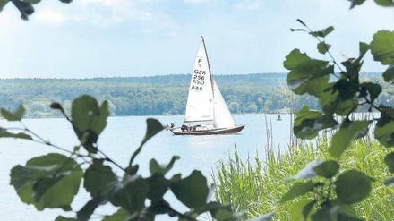 Paradiesisch. Segeln in Brandenburg – grundsätzlich ein Vergnügen. Foto: dpa