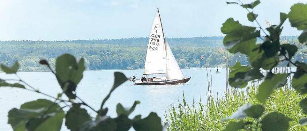 Paradiesisch. Segeln in Brandenburg – grundsätzlich ein Vergnügen. Foto: dpa
