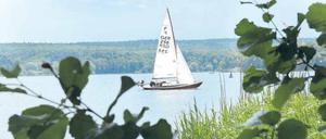 Paradiesisch. Segeln in Brandenburg – grundsätzlich ein Vergnügen. Foto: dpa
