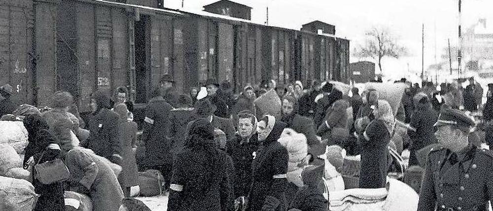 Unter großen Opfern. Douglas stützt sich auf Berichte von humanitären Organisationen, Diplomaten und auf Archivbestände der „Vertreiberstaaten“. 