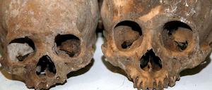 1000 Jahre alte Schädel, die in dem Massengrab in einer Höhle im Süden Mexikos gefunden wurden.