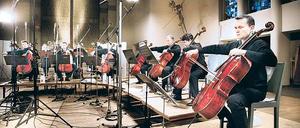 Konzert für Japan. Auch die zwölf Cellisten der Philharmoniker werden sich an dem Benefizauftritt am Sonnabend beteiligen. 