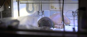 Ein Neugeborenes wird in einem Brutkasten der wieder eröffneten Frühchenstation im Klinikum Mitte in Bremen behandelt.
