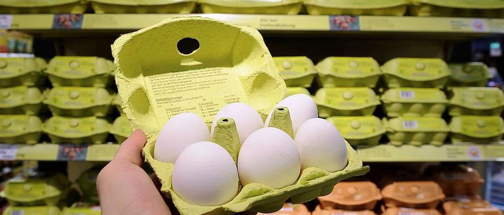 In Berlin soll es keine Dioxin-Eier geben, sagt die Verbraucherschutzsenatorin.
