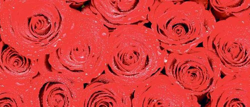 Rosige Zeiten am Valentinstag - doch so groß wie der Handel das Fest gern hätte, feiern es die Verbraucher nicht.