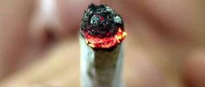 Die Linkspartei fordert die Einführung von Cannabis-Clubs.