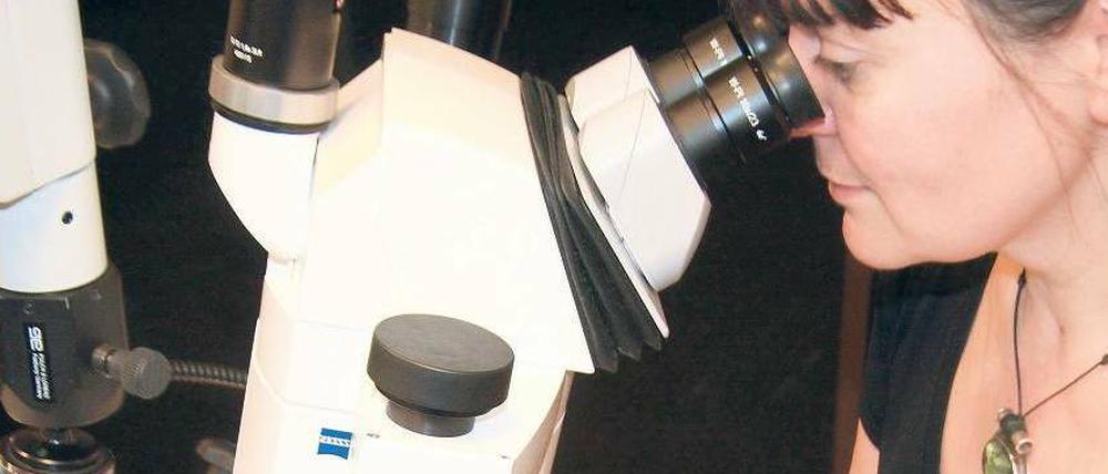 Mit Materialanalysen kommen die Forscher Fälschern auf die Spur.