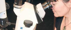 Mit Materialanalysen kommen die Forscher Fälschern auf die Spur.