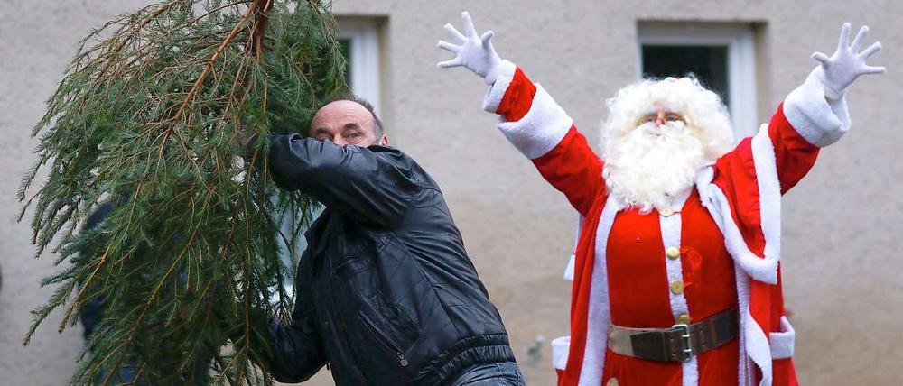 Sieht nach manischer Phase aus: Ein Weihnachtsmann feuert beim Tannenweitwurf an.
