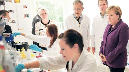 Laborversuch. Kanzlerin Merkel und Wissenschaftsministerin Schavan besuchten Mitte September das Max-Delbrück-Centrum. Foto: dpa