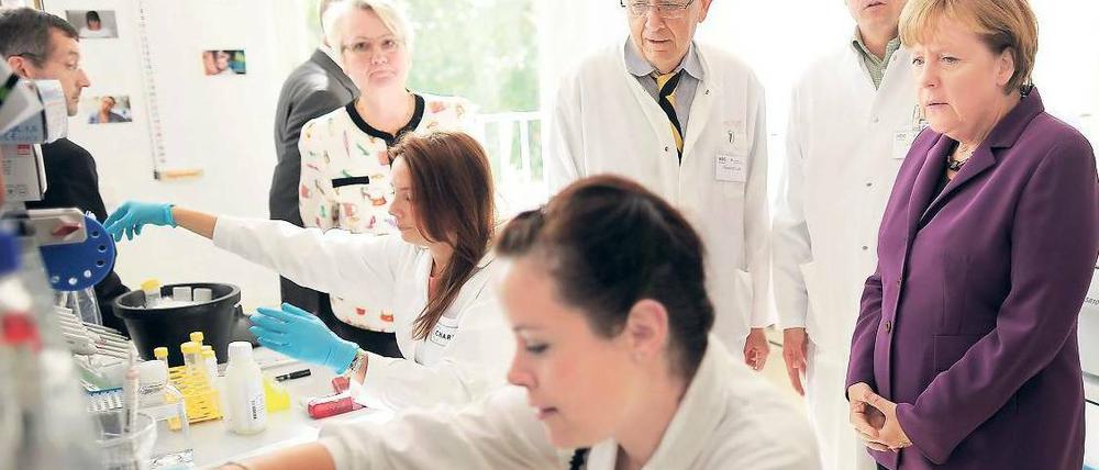Laborversuch. Kanzlerin Merkel und Wissenschaftsministerin Schavan besuchten Mitte September das Max-Delbrück-Centrum. Foto: dpa