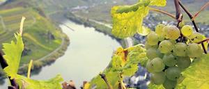 Kulturlandschaft: Links der Blick vom
