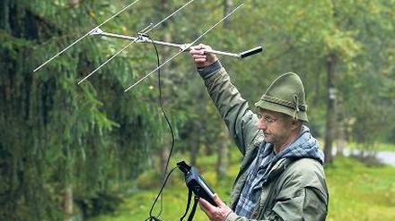 Geortet. Horst Burghart entdeckt mit einer Antenne einen Luchs im Bayerischer Wald.