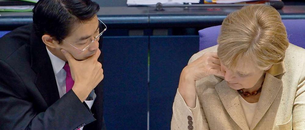 Wirtschaftsminister Philipp Rösler hat in der Euro-Krise noch keinen hilfreichen Beitrag geleistet. Jetzt macht er einen neuen Vorstoß.