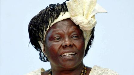 Wangari Maathai ist tot. Die kenianische Friedensnobelpreisträgerin starb am Sonntag im Alter von 71 Jahren.